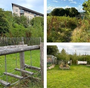 Wee Forests, NatureScot, University of Dundee,